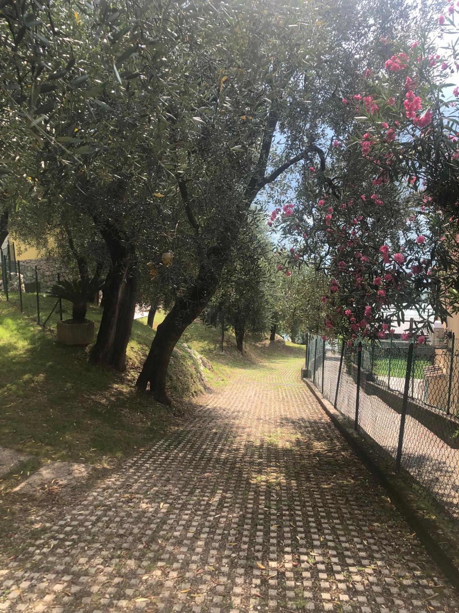 La Casa Sul Lago Apartments - Olive Tree Apartment Лимоне-суль-Гарда Экстерьер фото