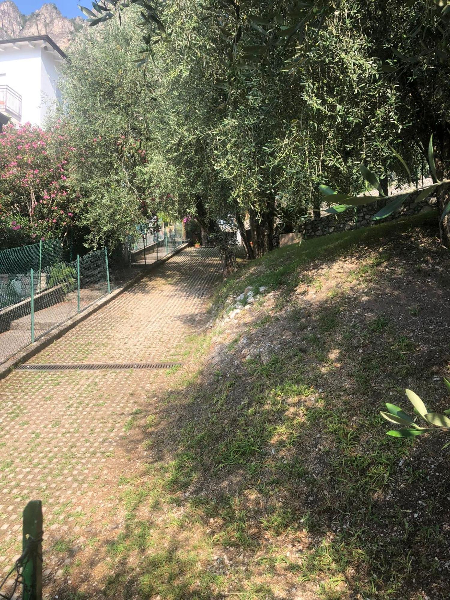 La Casa Sul Lago Apartments - Olive Tree Apartment Лимоне-суль-Гарда Экстерьер фото